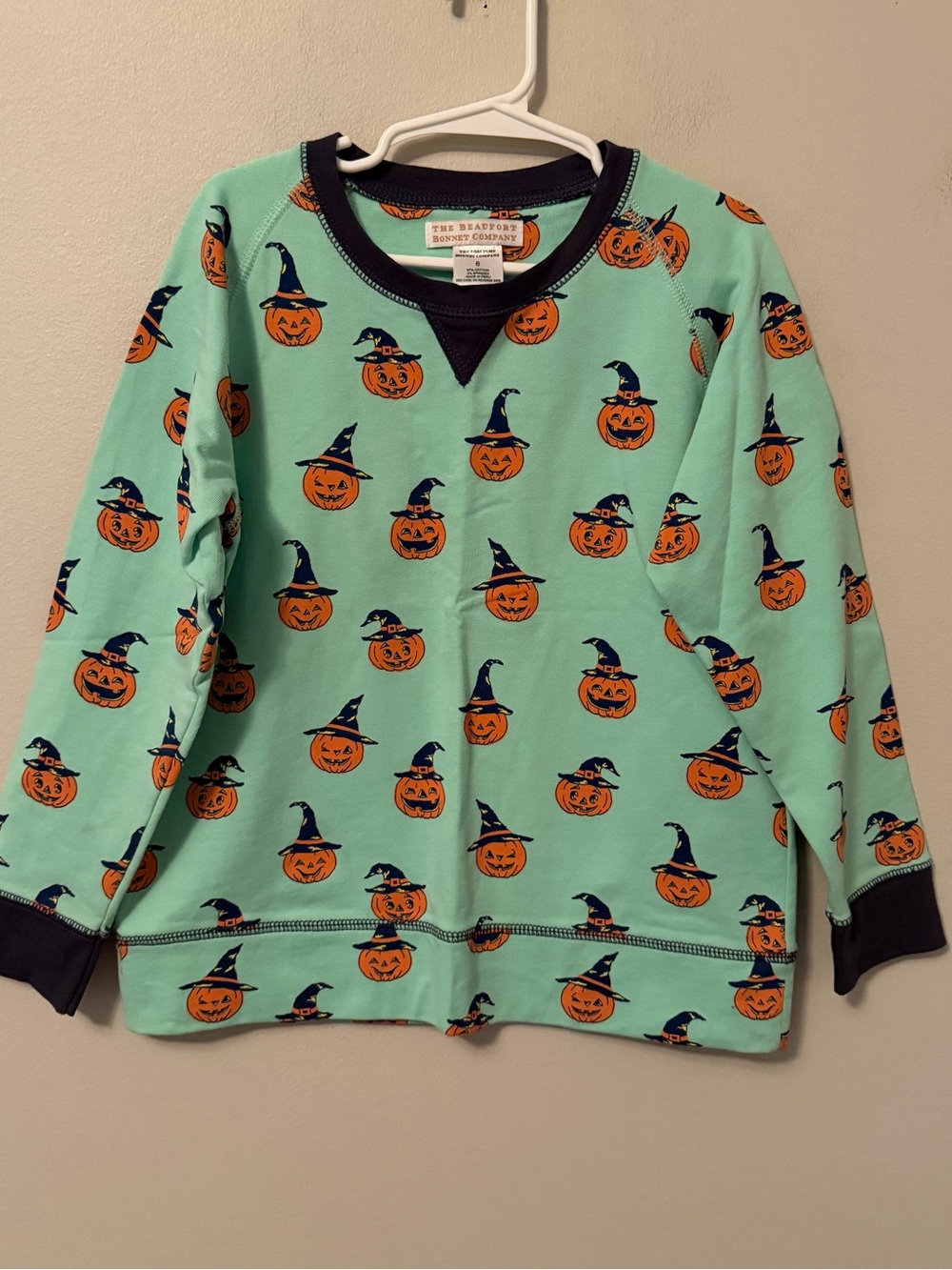 The Beaufort Bonnet Mint Green Pumpkin Crewneck